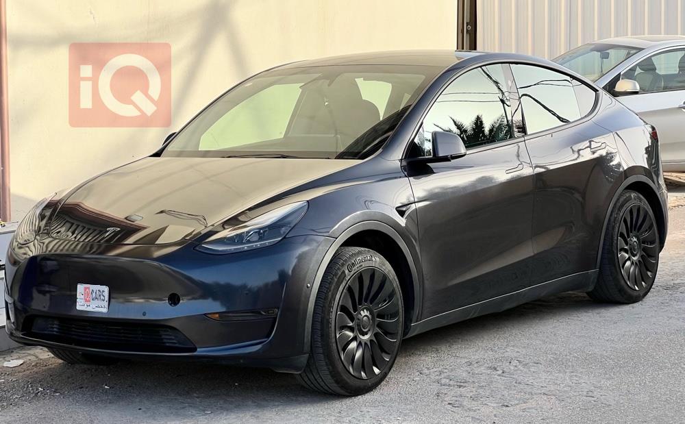 تسلا موديل Y